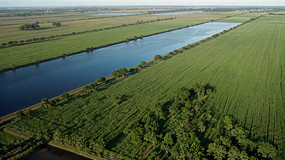 ��Ұ��������ȫ���ز�