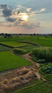 ��Ұũ������ȫ��