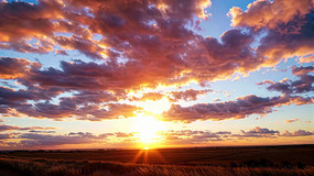 ��Ұ������վ���