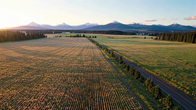 ��Ұɽ����⺽��