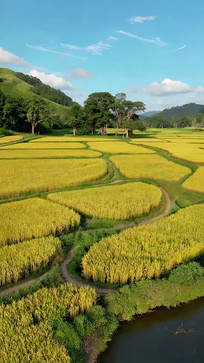 ��԰������Ȼ���ȫ��