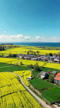 ��԰�Ͳ˻������ׯ���