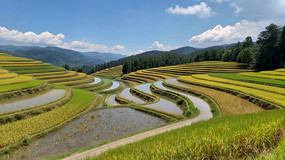 ���ﵾ����Ȼ���ȫ��