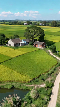 ��嵾�ﺽ��ȫ��