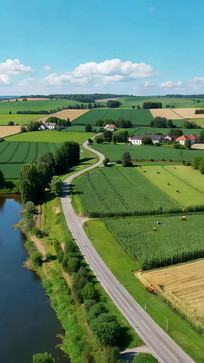 �����Ұ��·�����ز�