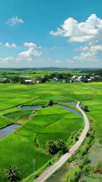 �����԰���︩�ȫ��