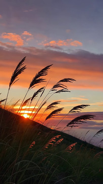 Ϧ�������ҡҷ��«έ