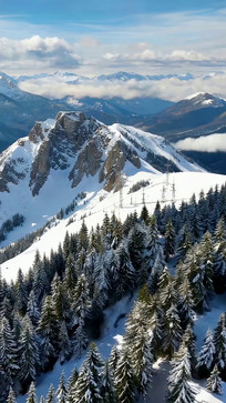 ѩɽɭ����Ȼ���ȫ��