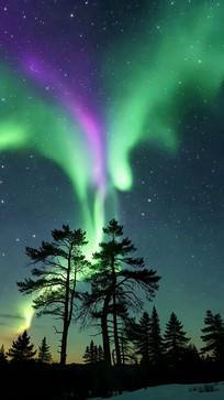 ҹ���µļ��������־���