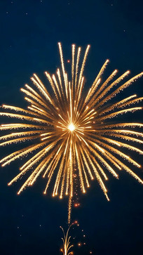 ҹ�����ŵĽ�ɫ�̻�