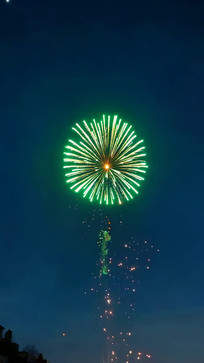 ҹ�����ŵ���ɫ�̻�