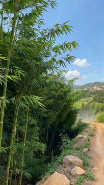 ���ֱߵ������·�羰