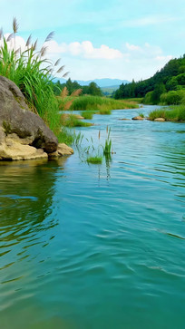 ��Ȼ����������