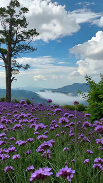 ��ɫ������Զɽ��ľ�羰