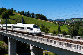 ��ɫ���������������Ұ֮��