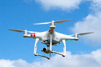 ��ɫ���˻�