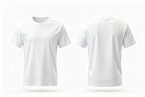 ��ɫԲ�����T����������չʾͼ