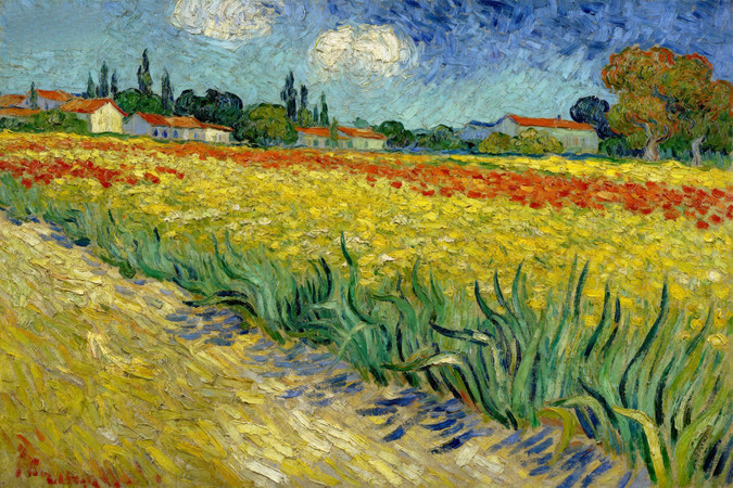 麦田与花田的乡间风景 麦田与花田的乡间风景