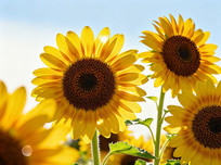 �����µĿ���