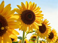 �����µĿ���