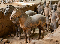 ����ٸ��������