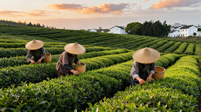 ��԰���ժ��Ҷ�Ĳ�ũ