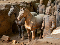 ����ٸ����