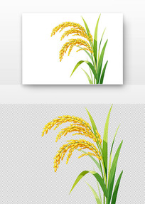 ����廭���ɫ����