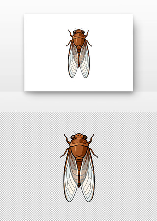 蝉插画 蝉插画
