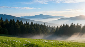 ������ݵ�