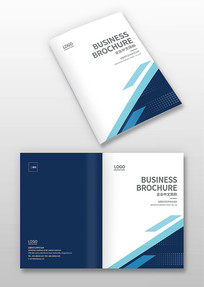 ��ɫ������