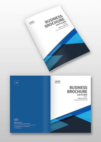 ��ɫ���������