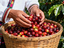 ���յĿ��ȹ�