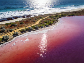 �ƺ�ɫ���κ�