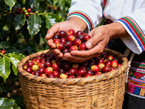 �����Ŀ��ȶ�