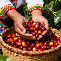 �������յĿ��ȶ�