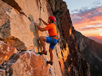 �������ҵ�����