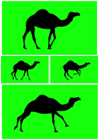 ���������뱼�������Ӱ������ѭ����Ļ4K