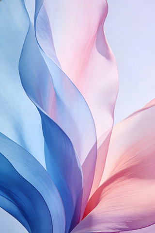 �Ƽ�����