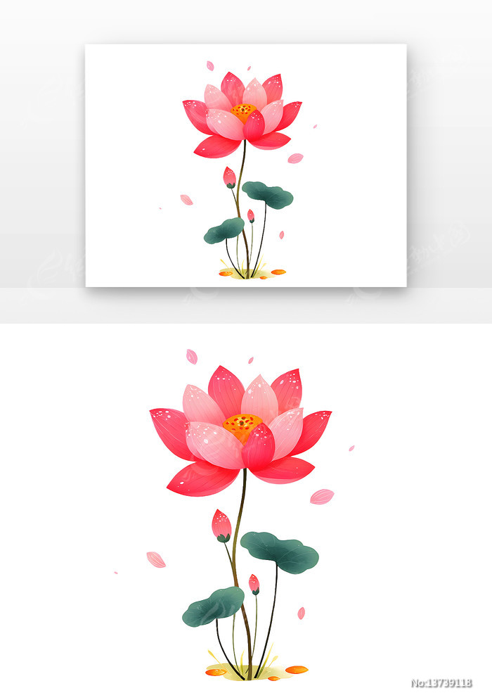 ��ͨ�ֻ浭�źɻ���ҶԪ��