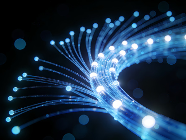 ��ɫ���Ĺ���������