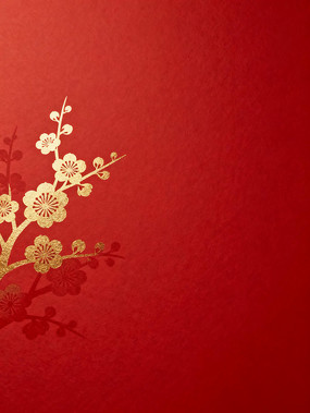 ��ɫ��Լ÷�����ڱ���