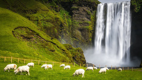 �ٲ��Ե���������Ⱥ