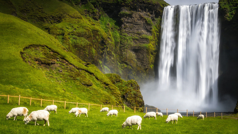 �ٲ��Ե���������Ⱥ