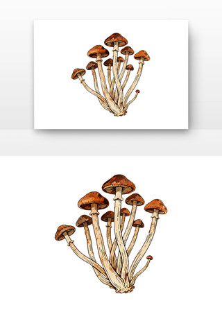 ��Ʒ�Ի�Ģ����ͨ