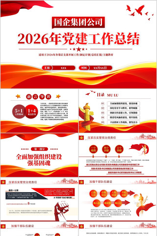 �����Ź�˾2026�굳�������ܽ�㱨