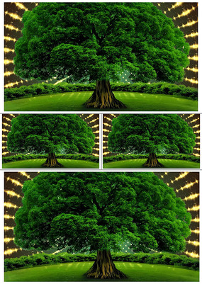 ���ӹ�â����������ѭ��