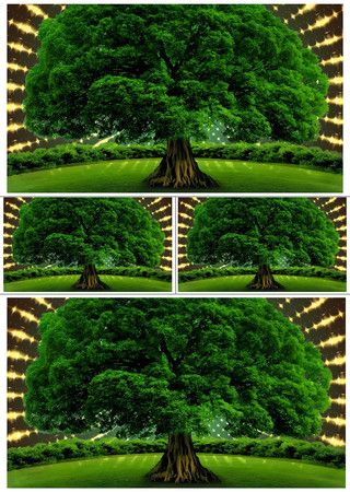 ���ӹ�â����������ѭ��