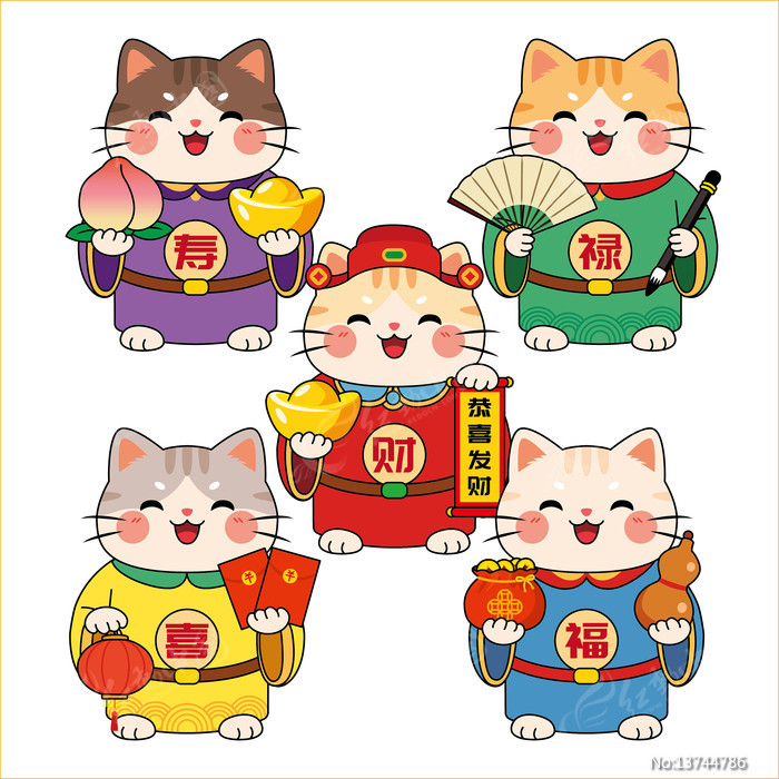 ��ͨ�帣���Ÿ�»��ϲ���й���è������