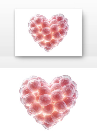 ΢��ϸ������